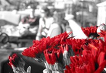 Game Day Photography